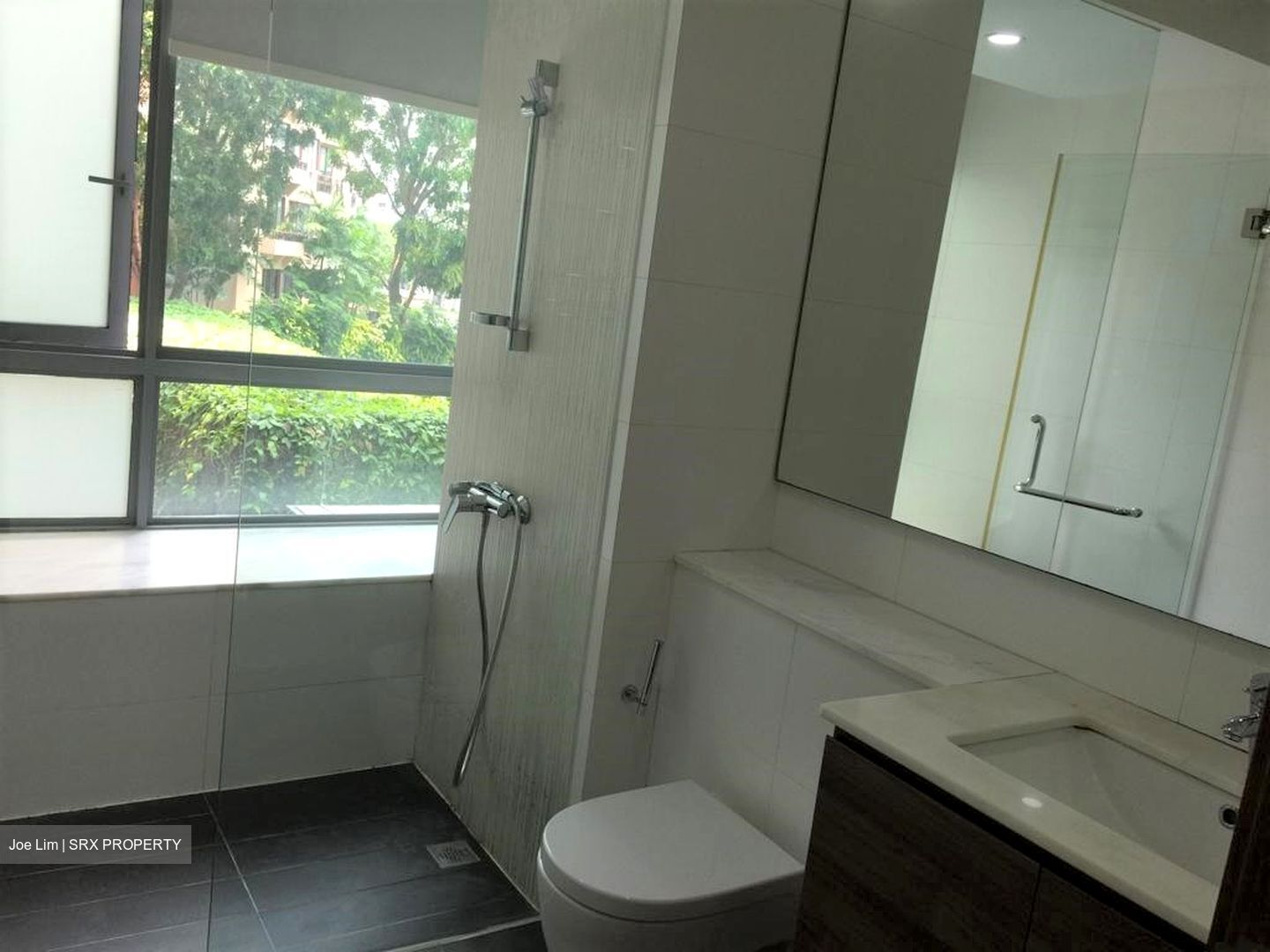 Double Bay Residences (D18), Condominium #602825161